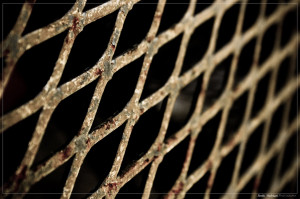 Diluted Razengani...