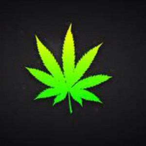 stoner quotes stoner sayings tweets 127 following 186 followers 157 ...