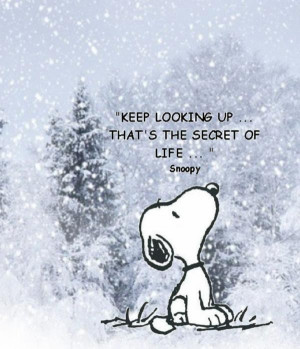 Winter, quotes, season, sayings, positive, snoopy