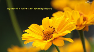 Beautiful yellow flower with an awesome quote. Click on image to ...