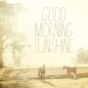 Good Morning Sunshine. Horse Photo. Fine Art Photography. Typography ...