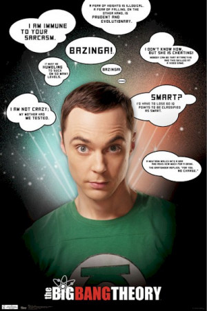Big Bang Theory Sheldon Sarcasm Quotes 22x34 Poster
