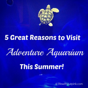 ... is all alone I wish I could play with him.” He is such a sweet boy