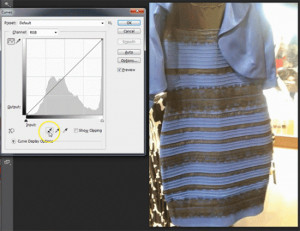 ... : Everyone Is Talking About It || White And Gold Or Blue And Black