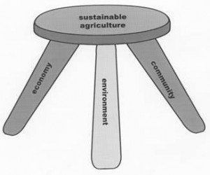 stool of sustainability