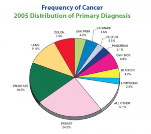 Cancer Death Rates,Simple Cancer Facts,American Cancer Society,Cancer ...