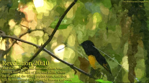 Wallpaper Bible Verses About: Wallpaper Bible Verses About Heaven ...