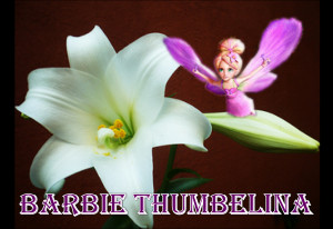 barbie-thumbelina-barbie-thumbelina-26739448-1268-873.png