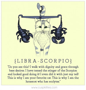 Libra Scorpio Cusp
