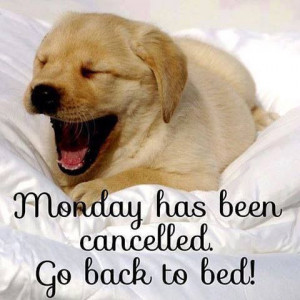 Monday Cheer you up Saying