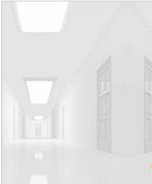 think this is what the halls look like in The Program