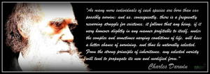 Charles Darwin Quote - Evolution Picture