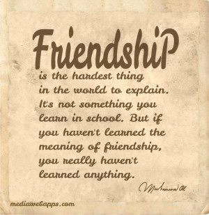20 Ideal Best Friend Quotes