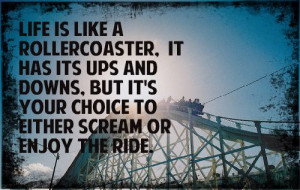 roller coasters
