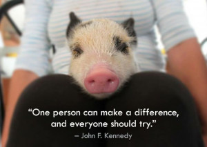 person can make a difference, & everyone should try. -John F ...