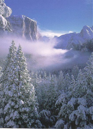 Yosemite National Park in Winter