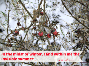 tolstoy quote about winter