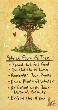 Love this tree philosophy!