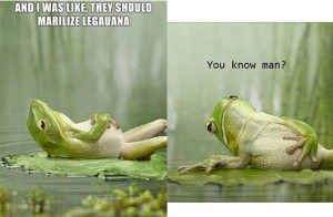 Funny Frog Quotes Frog marilize legauana.