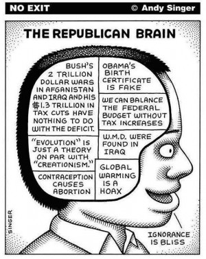 The Last Word On Conservative Brain Structure