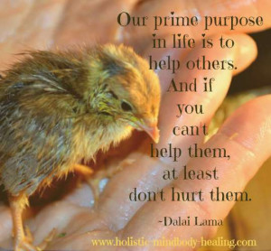 quail-dalailama-quote.jpg
