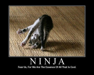 want a ninja kitty named Ajee!