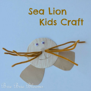 Source: http://briebrieblooms.com/sea-lion-kids-craft/
