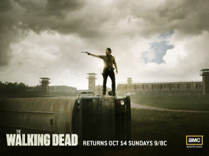 The-Walking-Dead-the-walking-dead-32297721-1600-1200.jpg