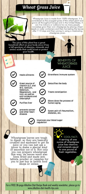INFOGRAPHIC] Fun Facts About Wheatgrass Juice