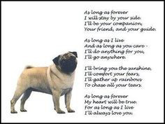 Funny Pug cartoonns | Pug Poem Graphics Code | Pug Poem Comments ...