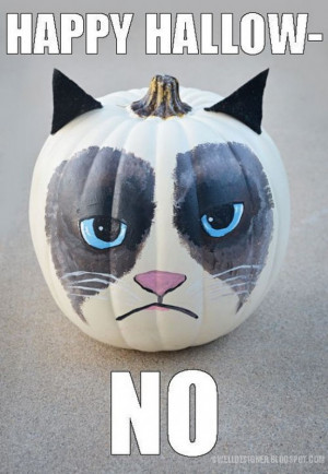 The Grumpiest Grumpy Cat Memes to Sadden Your Day