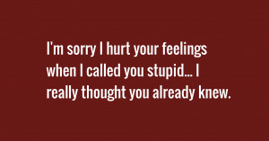 Sorry I Hurt Your Feelings