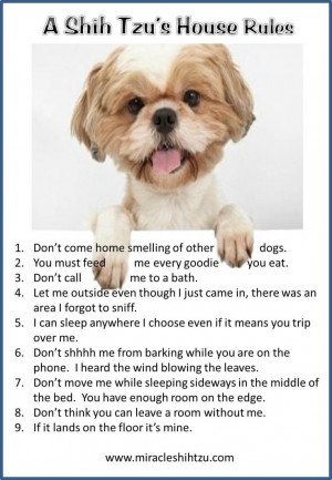 ... House Rules at Miracle Shih Tzu http://miracleshihtzu.com/dog-quotes