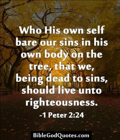 ... being dead to sins, should live unto righteousness. -1 Peter 2:24 More