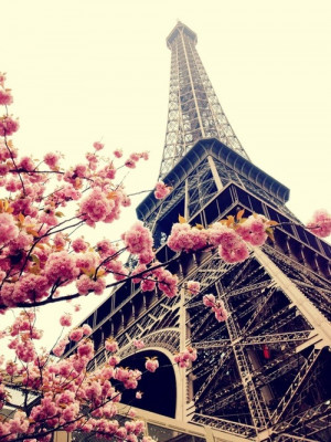 beautiful, eiffel tower, floral, flowers, france, paris, pink, roses ...
