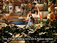 Wizard Of Oz Quotes Hearts Desire ~ wizard of oz on Pinterest | 15 ...