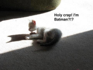 If you enjoyed this, check out our Funny Cat Joke Pics