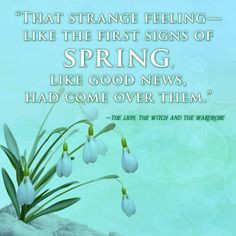 ... news had come over them the lion the witch and the wardrobe c s lewis