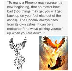 Phoenix , phoenix tattoo , meaning of the phoenix More
