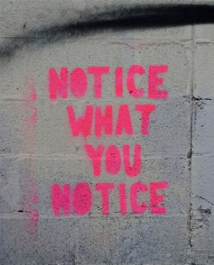 Notice What You Notice