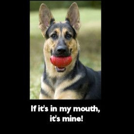 German shepherd quote