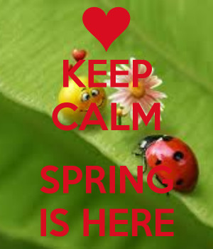 KEEP CALM SPRING IS HERE is creative inspiration for us. Get more ...