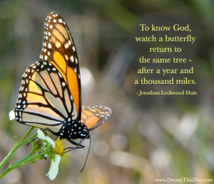 Funny Quotes about Butterfly