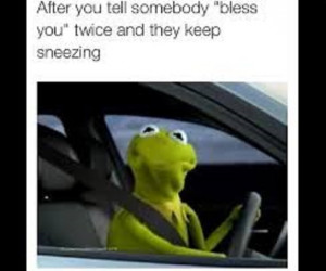 12 Hilarious Kermit the Frog Memes