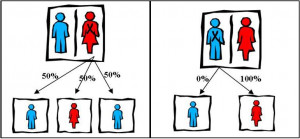 the proper treatment and therapy started. Many kids with Fragile X ...