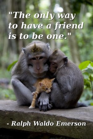 The only way to have a friend is to be one. - Ralph Waldo Emerson