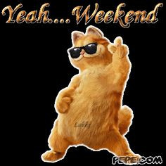 Week end quotes | funny weekend quotes. So spend your weekend doing ...