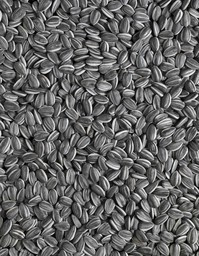 Ai Weiwei Sunflower Seeds