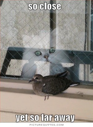 So close, yet so far away. Picture Quote #4