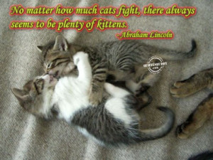 No Matter How Much Cats Fight, There Always Seems To Be Plenty Of ...